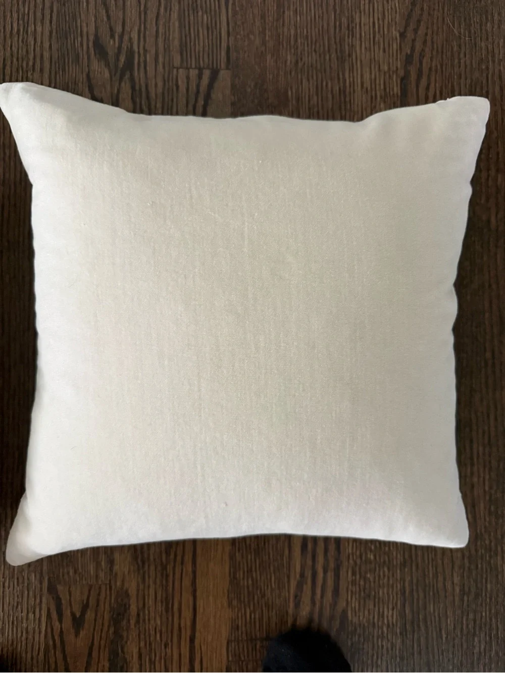 Crate&Barrel Crystal Beaded Pillow - Pair